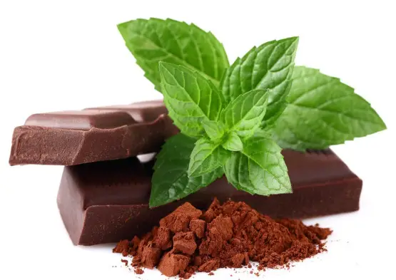 Crème glacée menthe chocolat noir